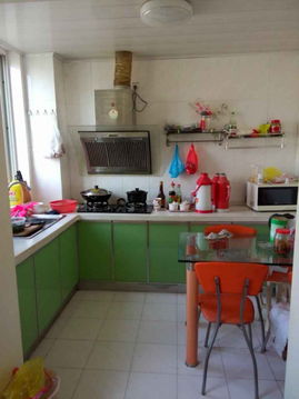 精致生活新選擇 城東新村精裝復式公寓，品質出租